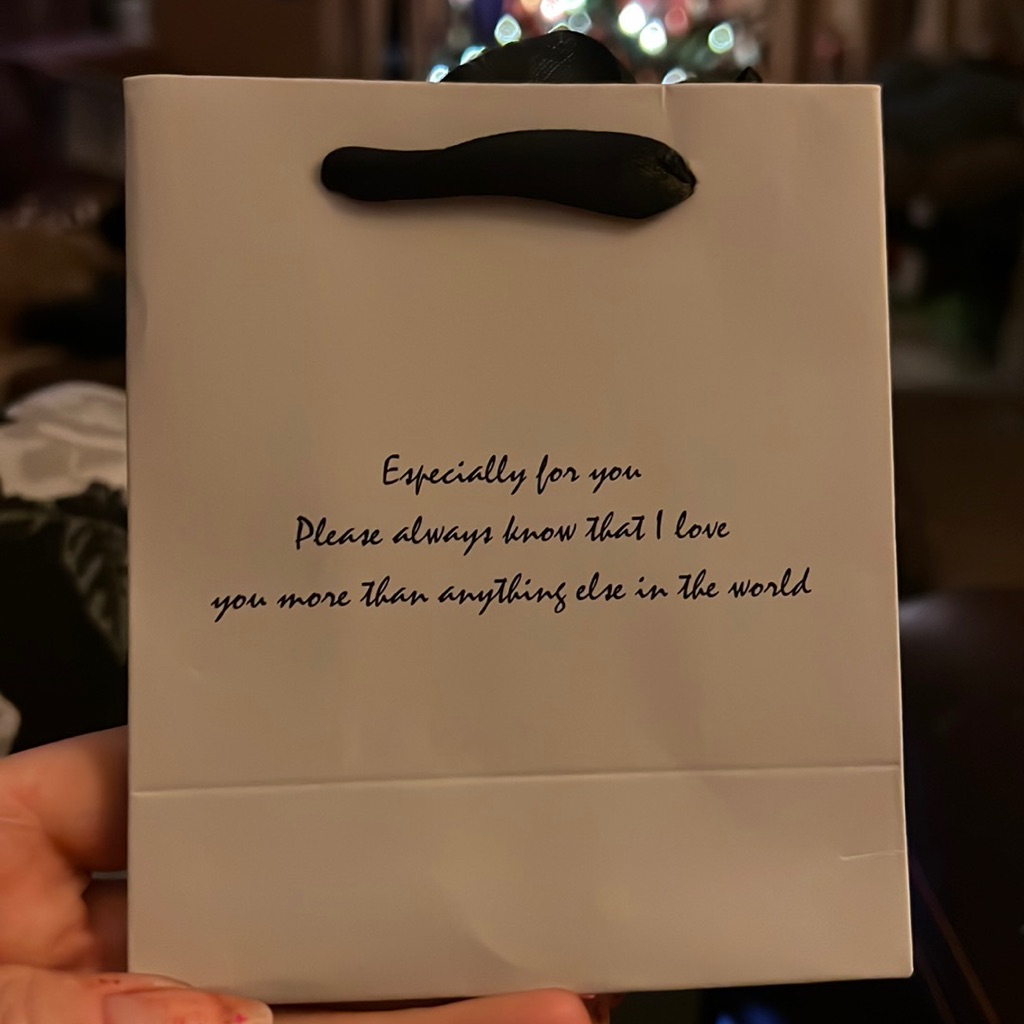 Necklace With Giftbag And Polishing Cloth